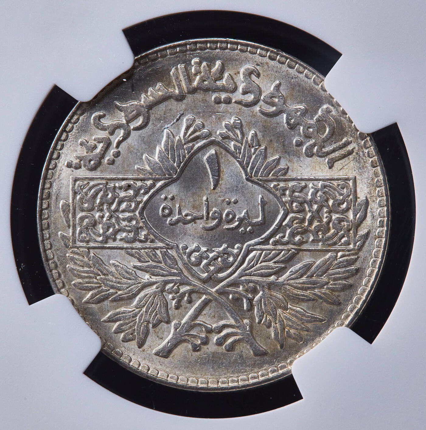 【俄甄集藏】2026年(046)01-07 星期三 晚 19:30 全场包邮 叙利亚1950年三星盾徽1里拉银币，NGC UNCD，标签错误