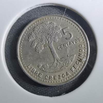 沼泽如烟--第950场 - 危地马拉1985年五分