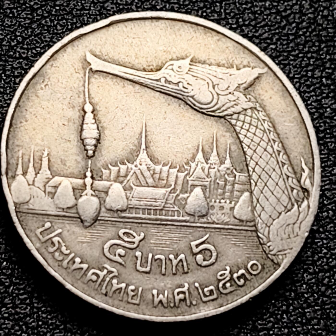 泉币菌-第161场-新年第四场 精品福利场 。