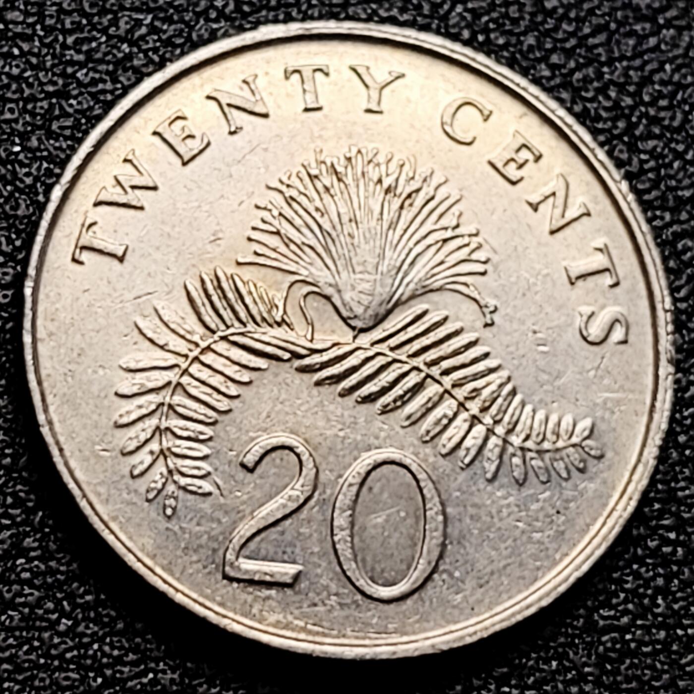 泉币菌-第161场-新年第四场 精品福利场 。