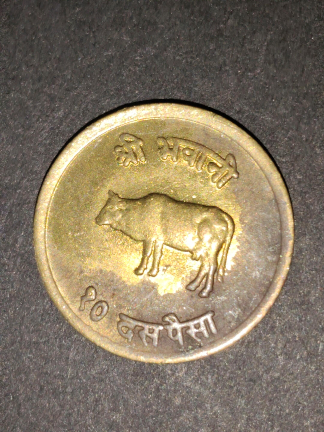 猩哥外币小铺➨【第216场】 尼泊尔