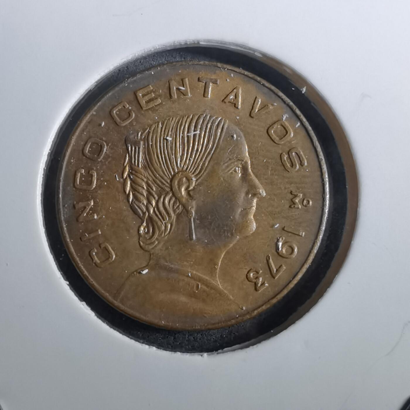 沼泽如烟--第950场