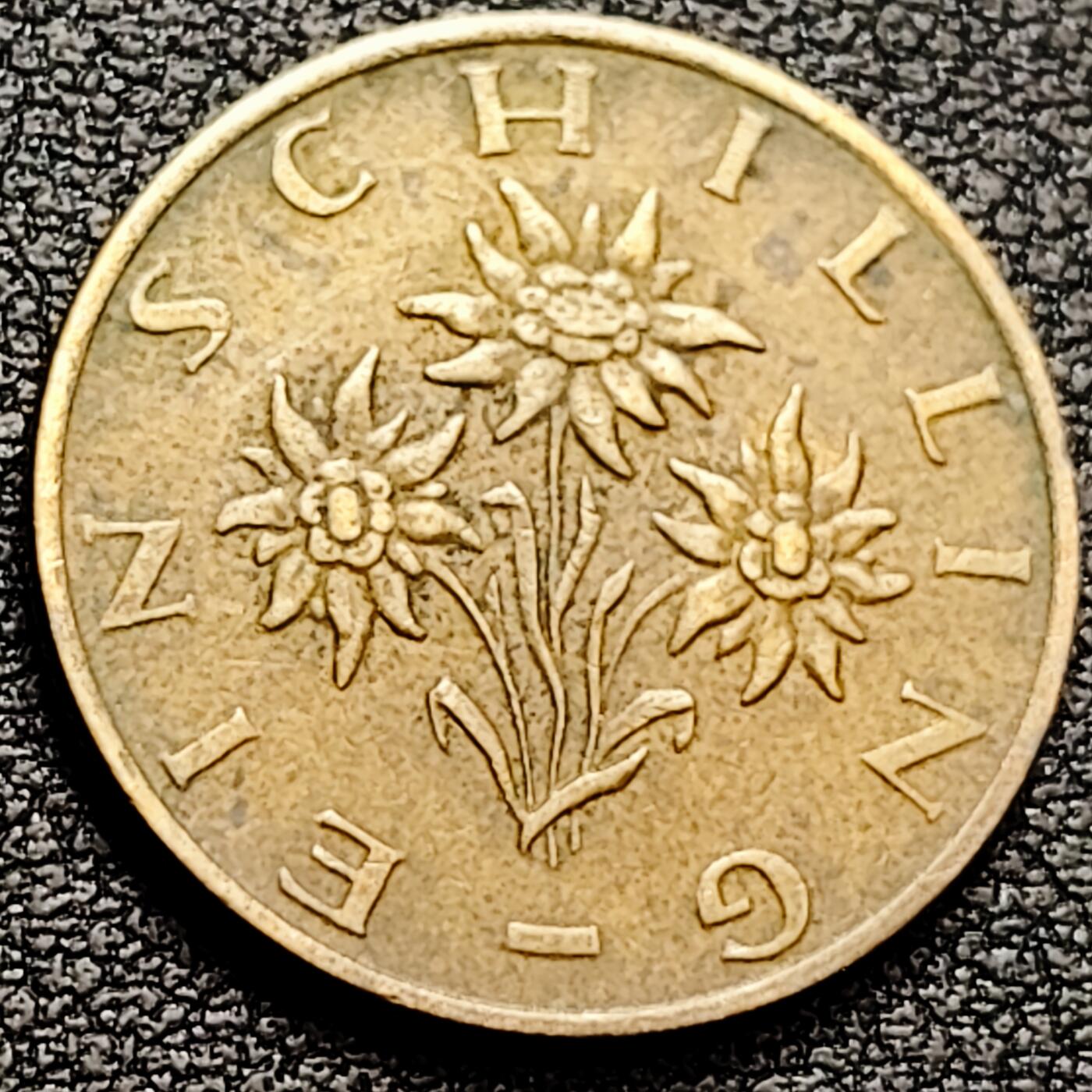 泉币菌-第160场-新年第三场 精品福利场 奥地利1979年1先令 雪绒花 铝青铜币  22.5mm 