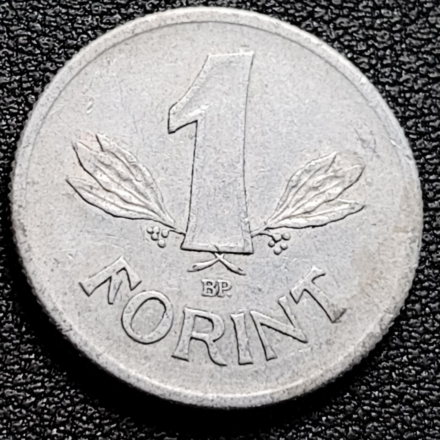 泉币菌-第161场-新年第四场 精品福利场 。