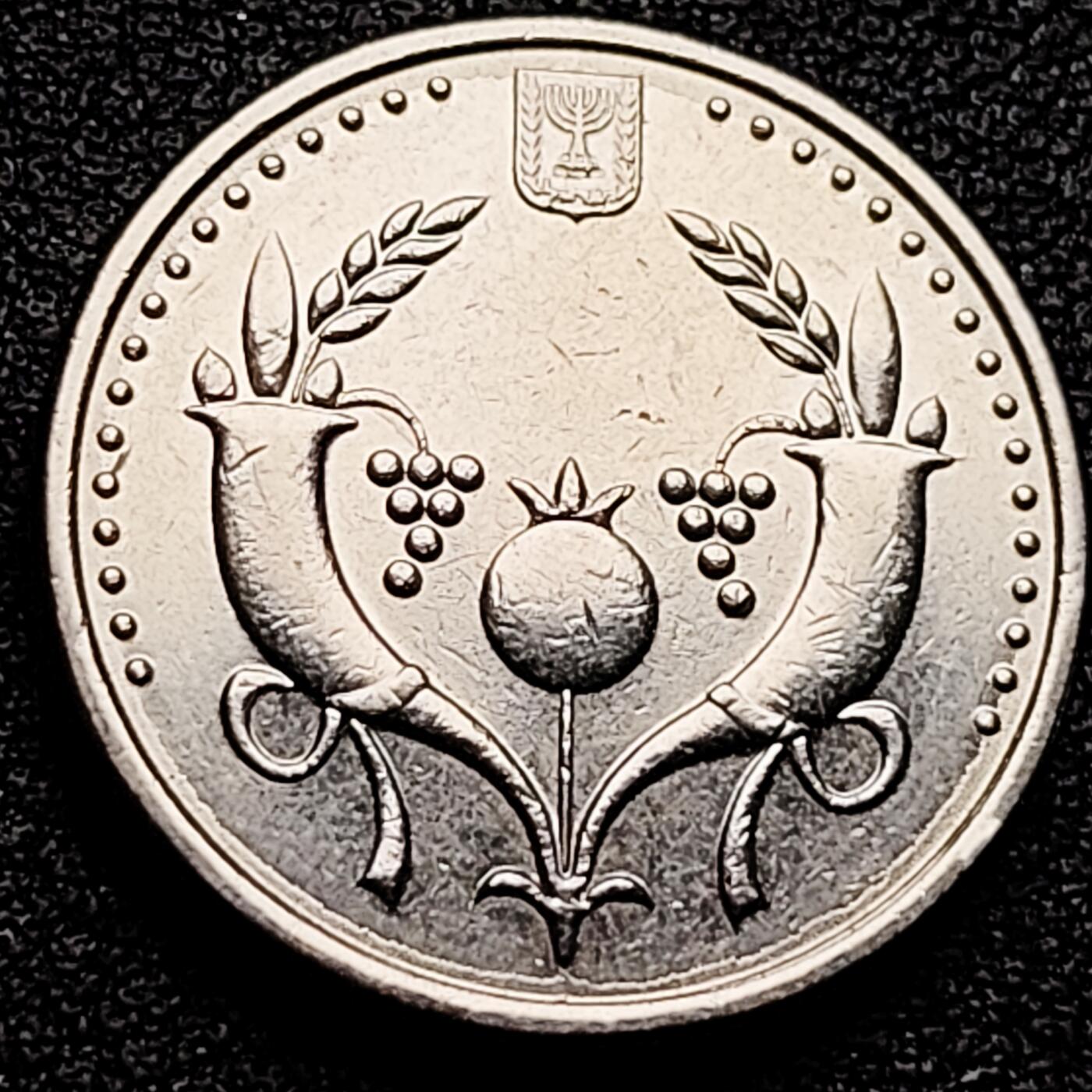 泉币菌-第161场-新年第四场 精品福利场 。