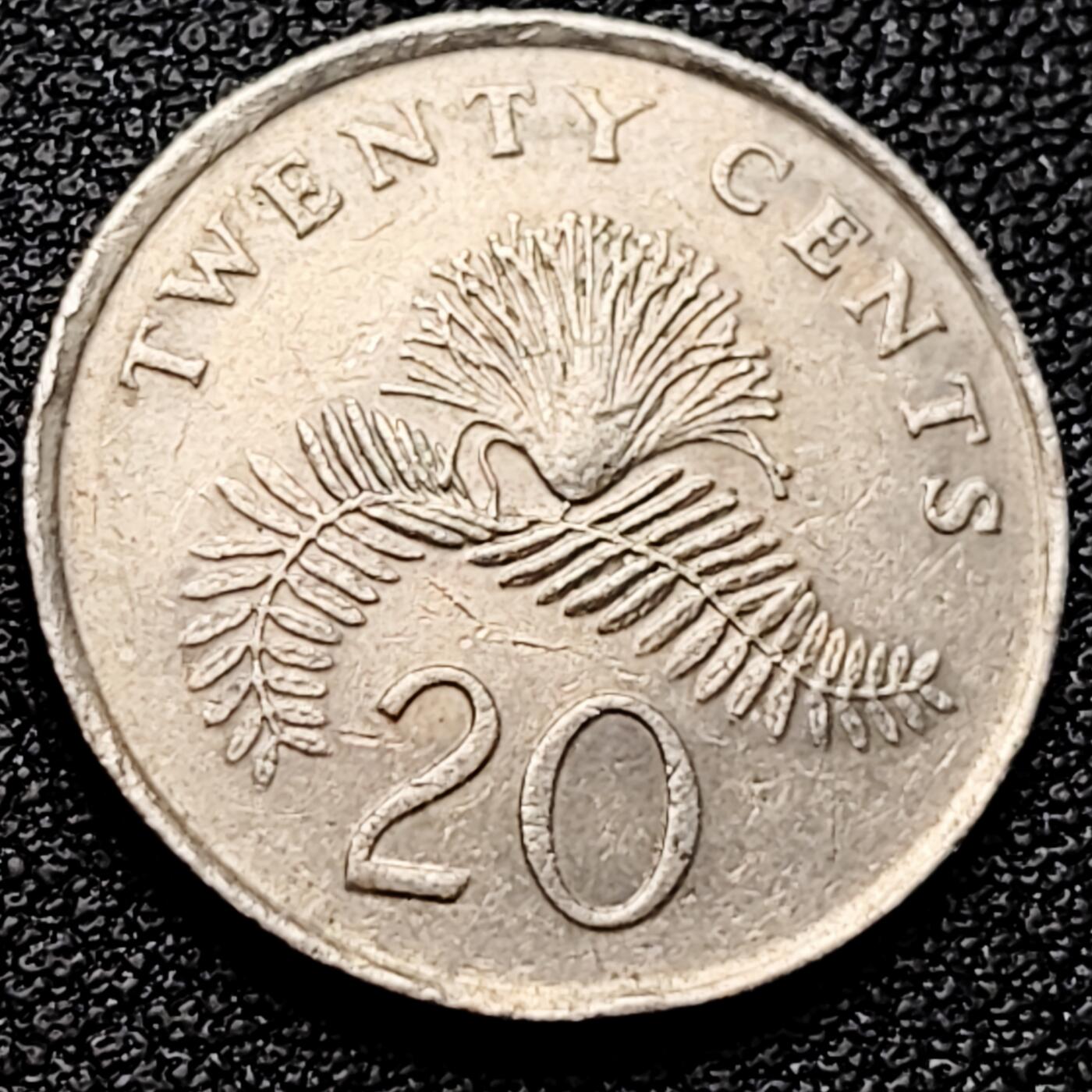 泉币菌-第161场-新年第四场 精品福利场 。