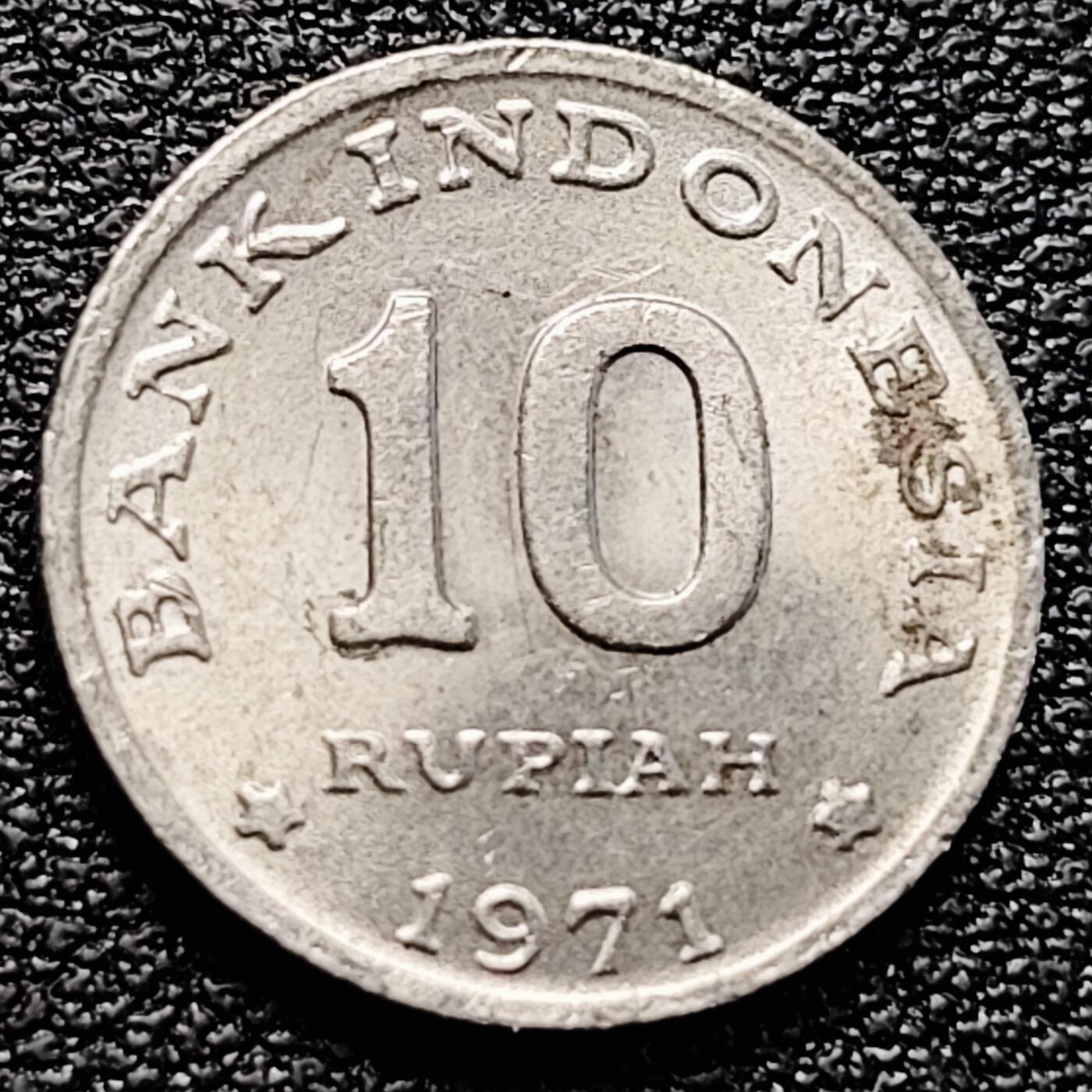 泉币菌-第161场-新年第四场 精品福利场 。