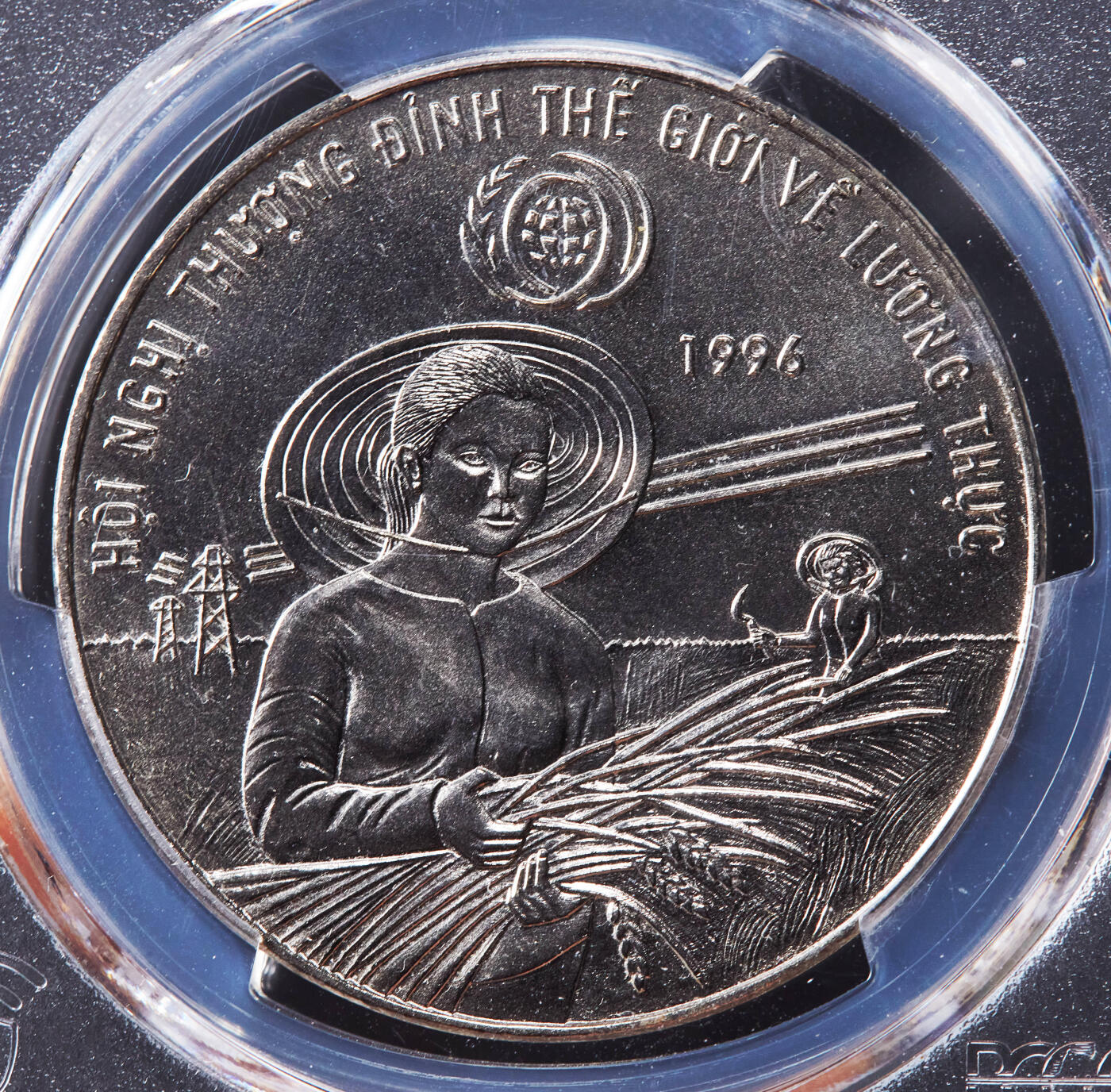 【俄甄集藏】2026年(046)01-07 星期三 晚 19:30 全场包邮