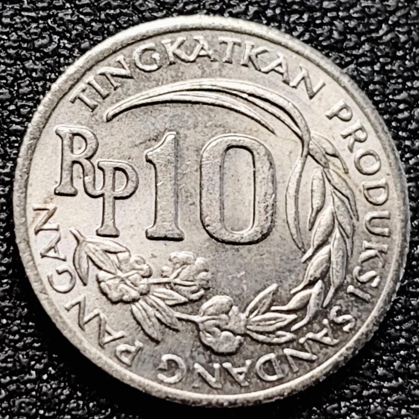 泉币菌-第161场-新年第四场 精品福利场 。