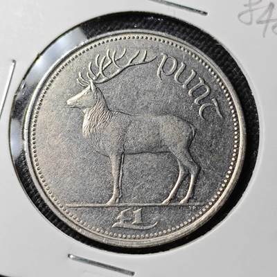 KK钱币收藏小铺  第384期  2月预留时间 周末发货 -  爱尔兰1镑