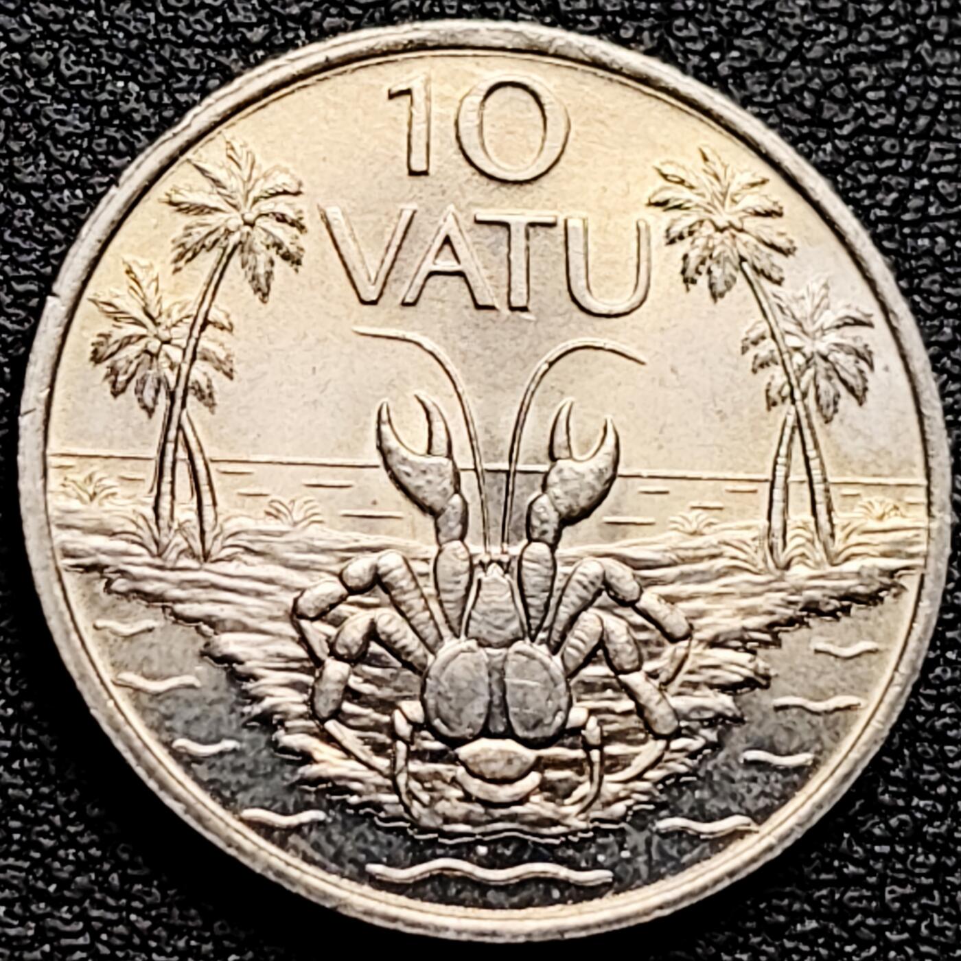 泉币菌-第161场-新年第四场 精品福利场 。