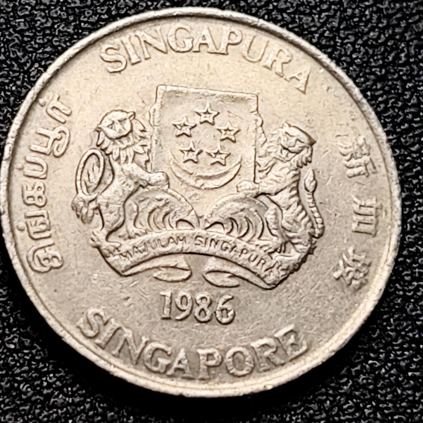 泉币菌-第161场-新年第四场 精品福利场 。