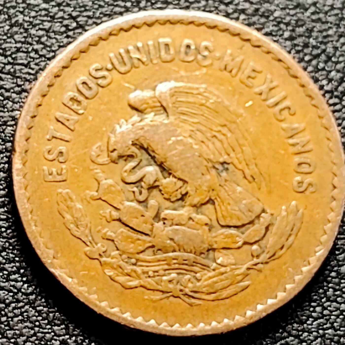 泉币菌-第161场-新年第四场 精品福利场 。