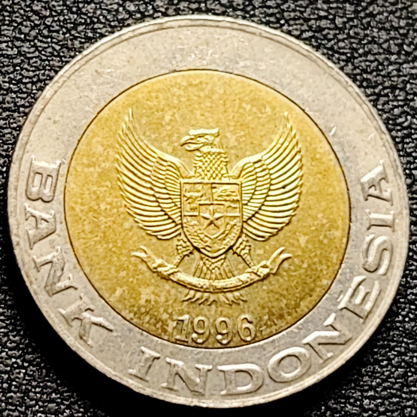 泉币菌-第161场-新年第四场 精品福利场 。