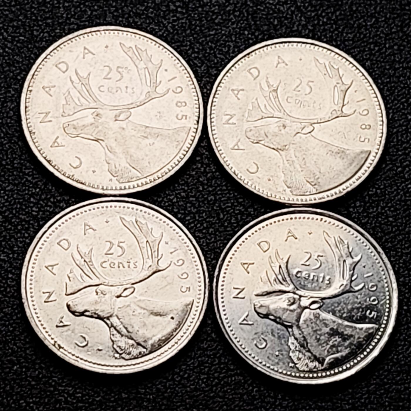 泉币菌-第161场-新年第四场 精品福利场