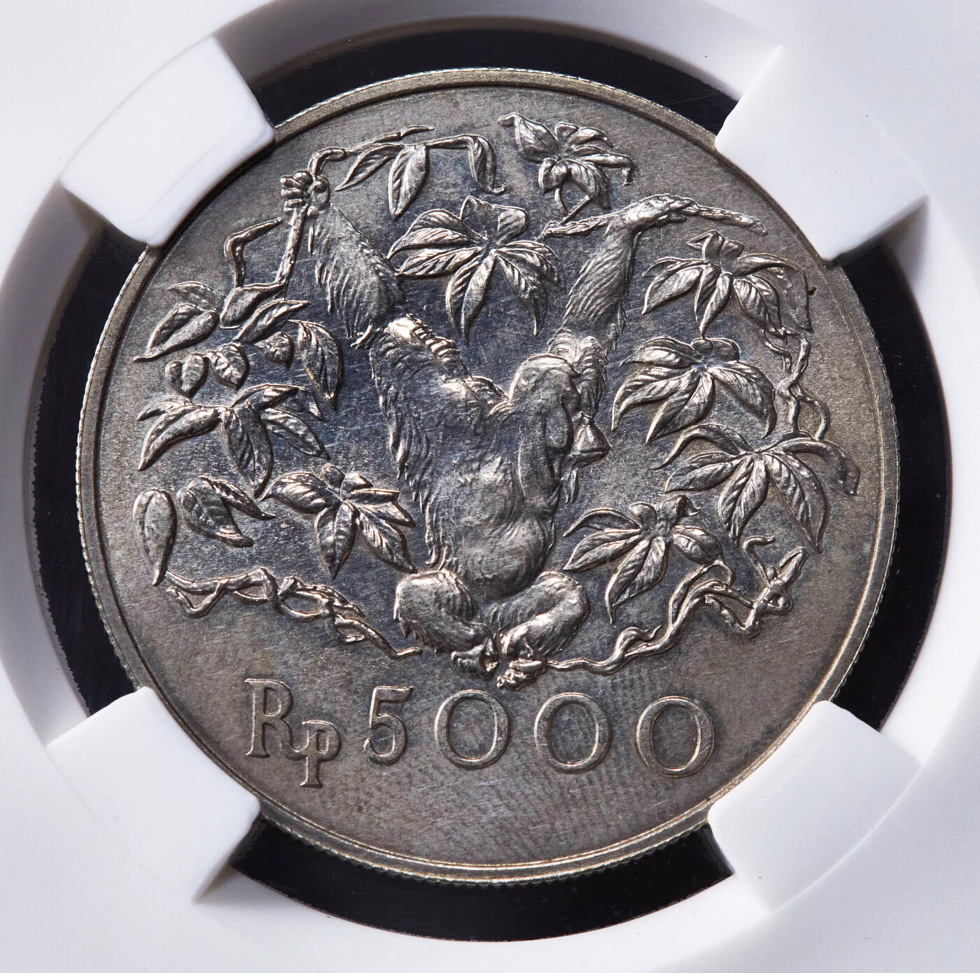 【俄甄集藏】2026年(046)01-07 星期三 晚 19:30 全场包邮 印度尼西亚1974年野生动物保护-长臂猿5000卢比大银币，信泰 MS64，重32克，50%银，发行量43000枚