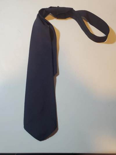 韵星假日拍卖第三十五期 -- Rimey Holidays Auction 34 - 民主德国国家人民军常服领带