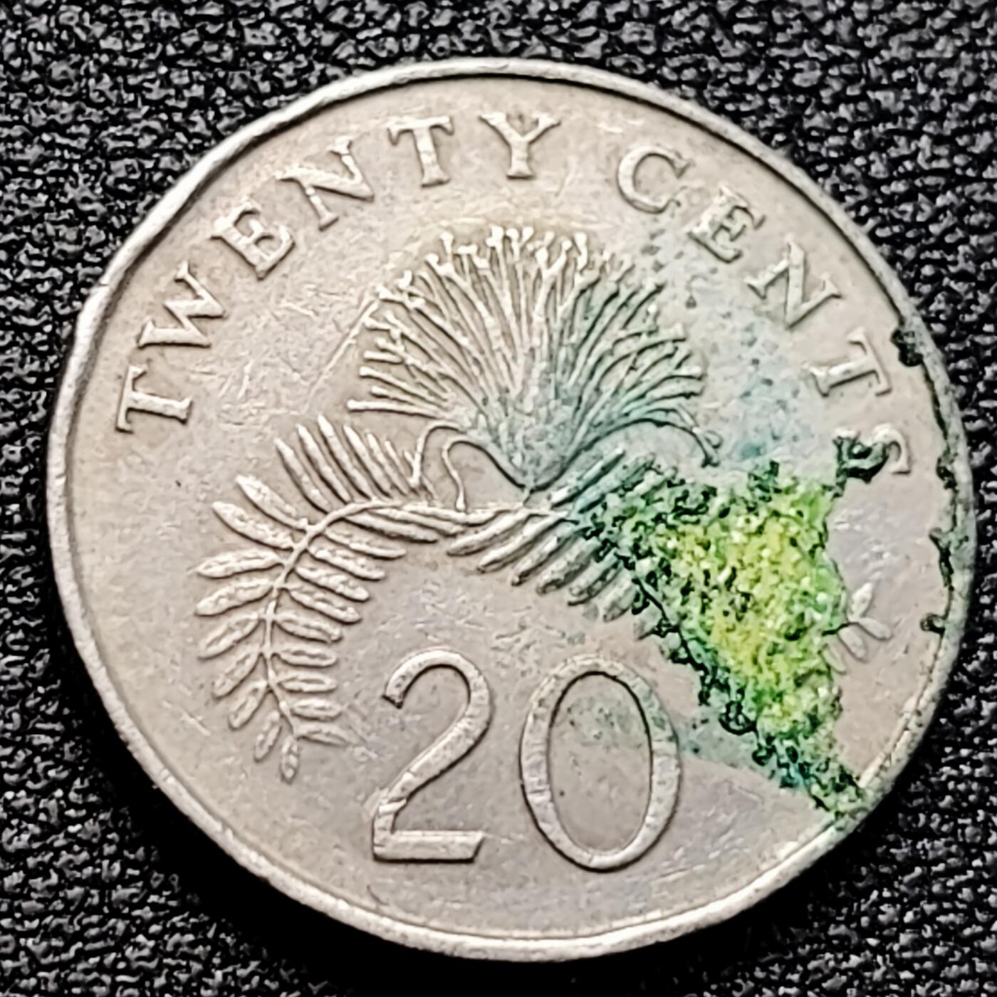 泉币菌-第161场-新年第四场 精品福利场 。