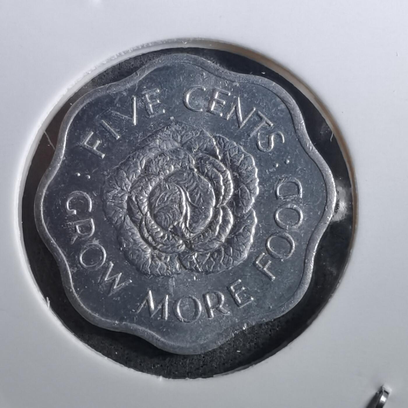 沼泽如烟--第950场