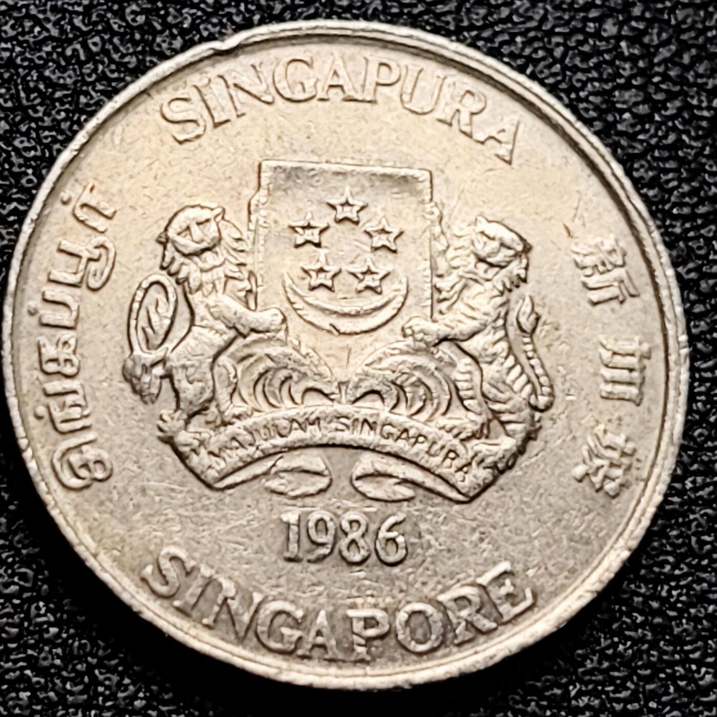 泉币菌-第161场-新年第四场 精品福利场 。