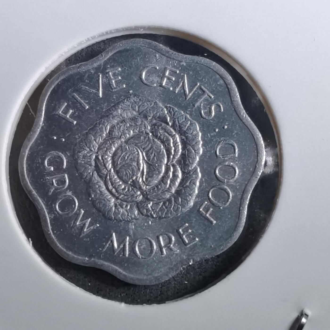 沼泽如烟--第950场