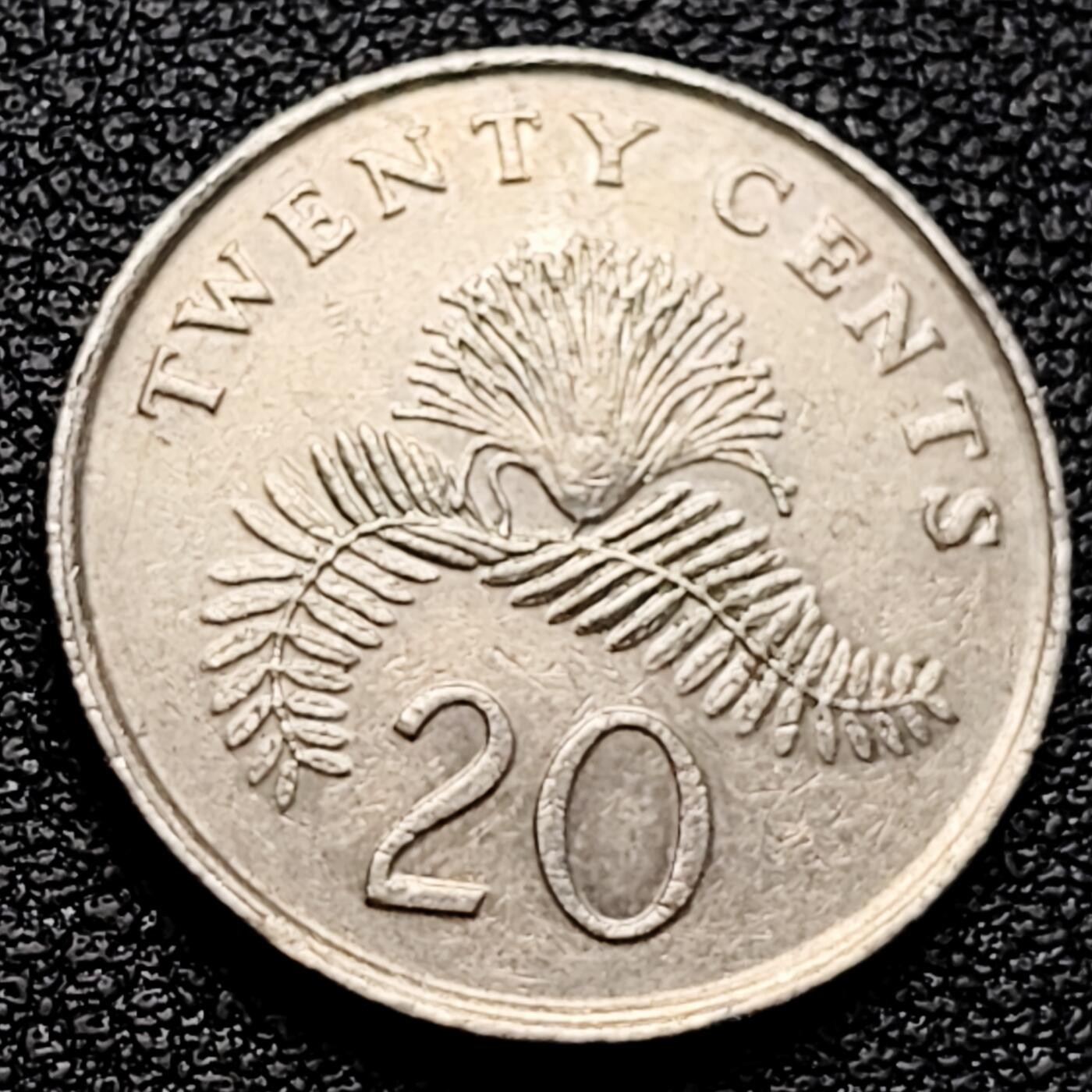 泉币菌-第161场-新年第四场 精品福利场 。