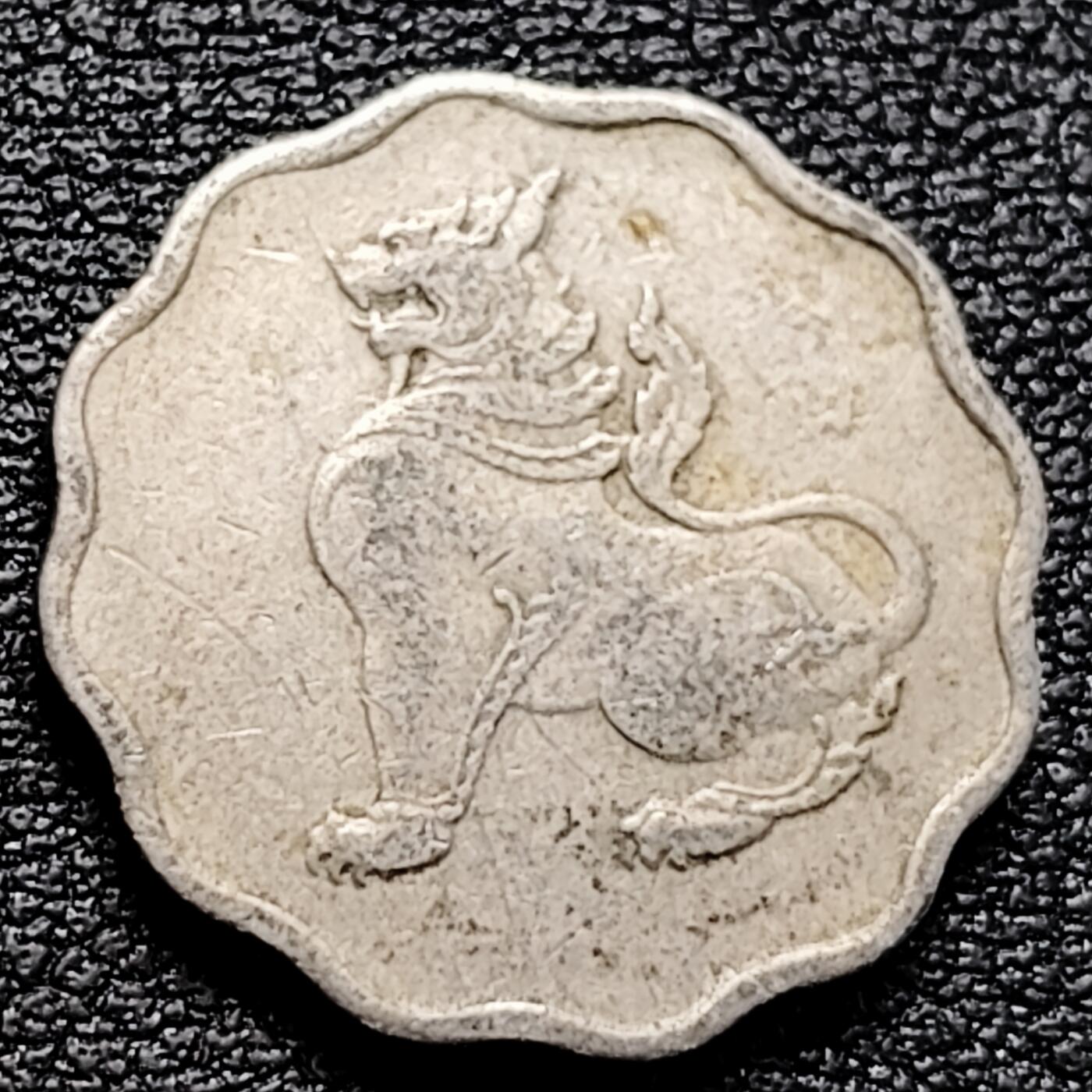 泉币菌-第161场-新年第四场 精品福利场 。