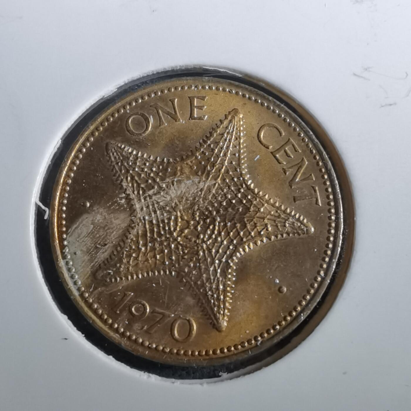 沼泽如烟--第950场