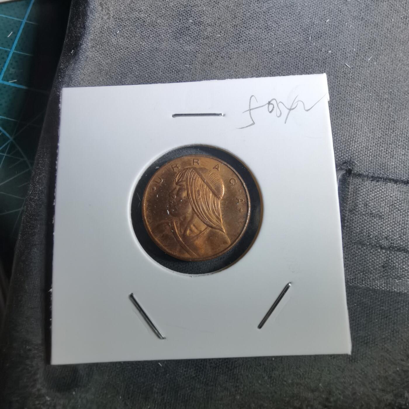 沼泽如烟--第950场