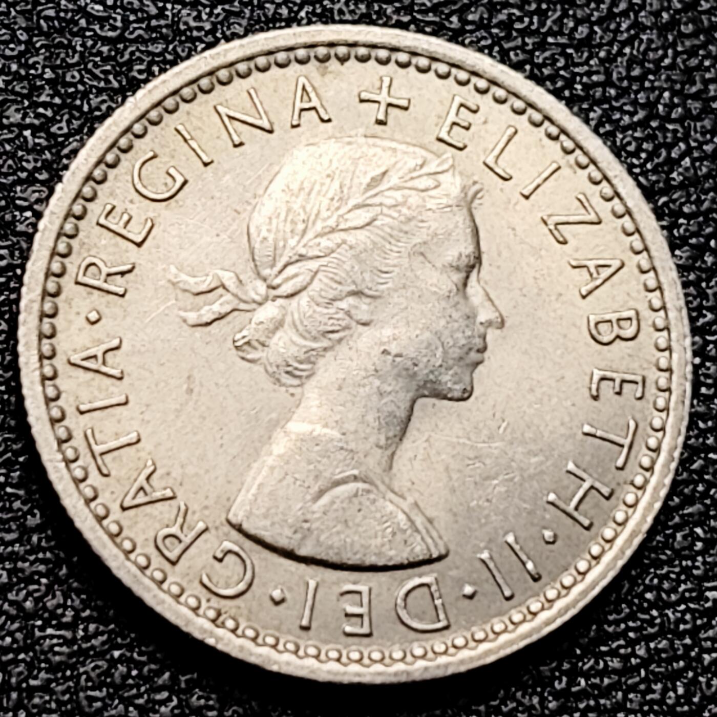 泉币菌-第161场-新年第四场 精品福利场 。