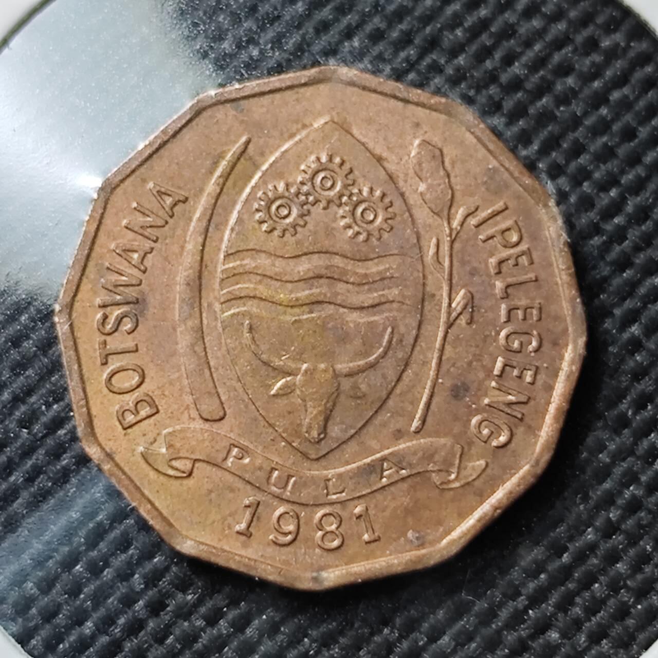 KK钱币收藏小铺  第384期  2月预留时间 周末发货  博茨瓦纳2分纪念币