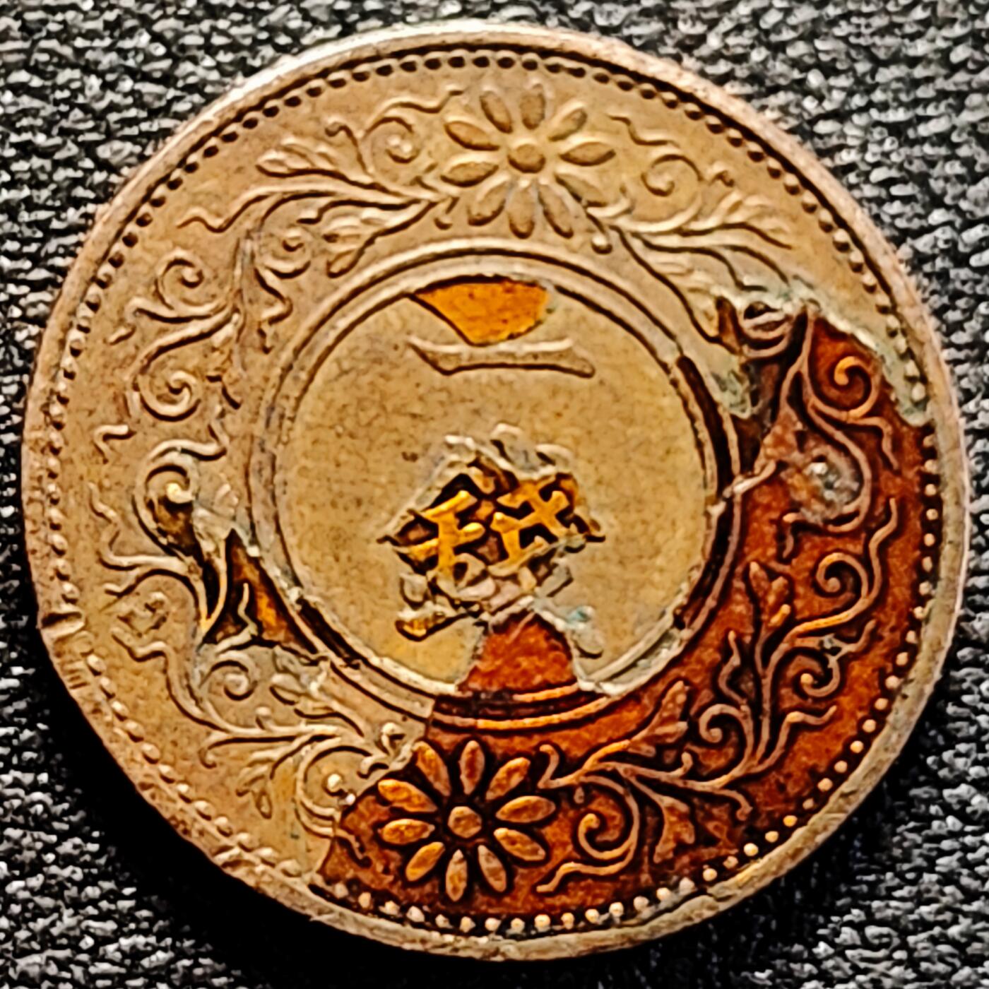 泉币菌-第161场-新年第四场 精品福利场 。