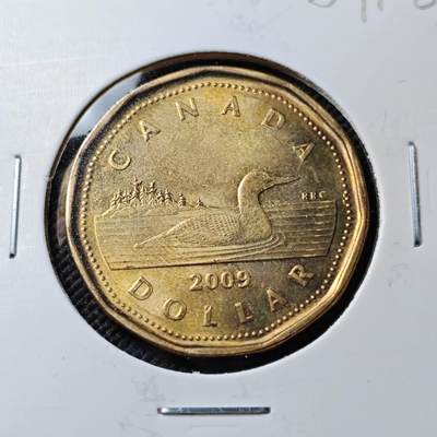 KK钱币收藏小铺  第384期  2月预留时间 周末发货 -  加拿大1元 好品