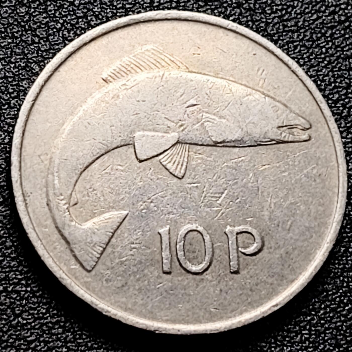 泉币菌-第161场-新年第四场 精品福利场 。