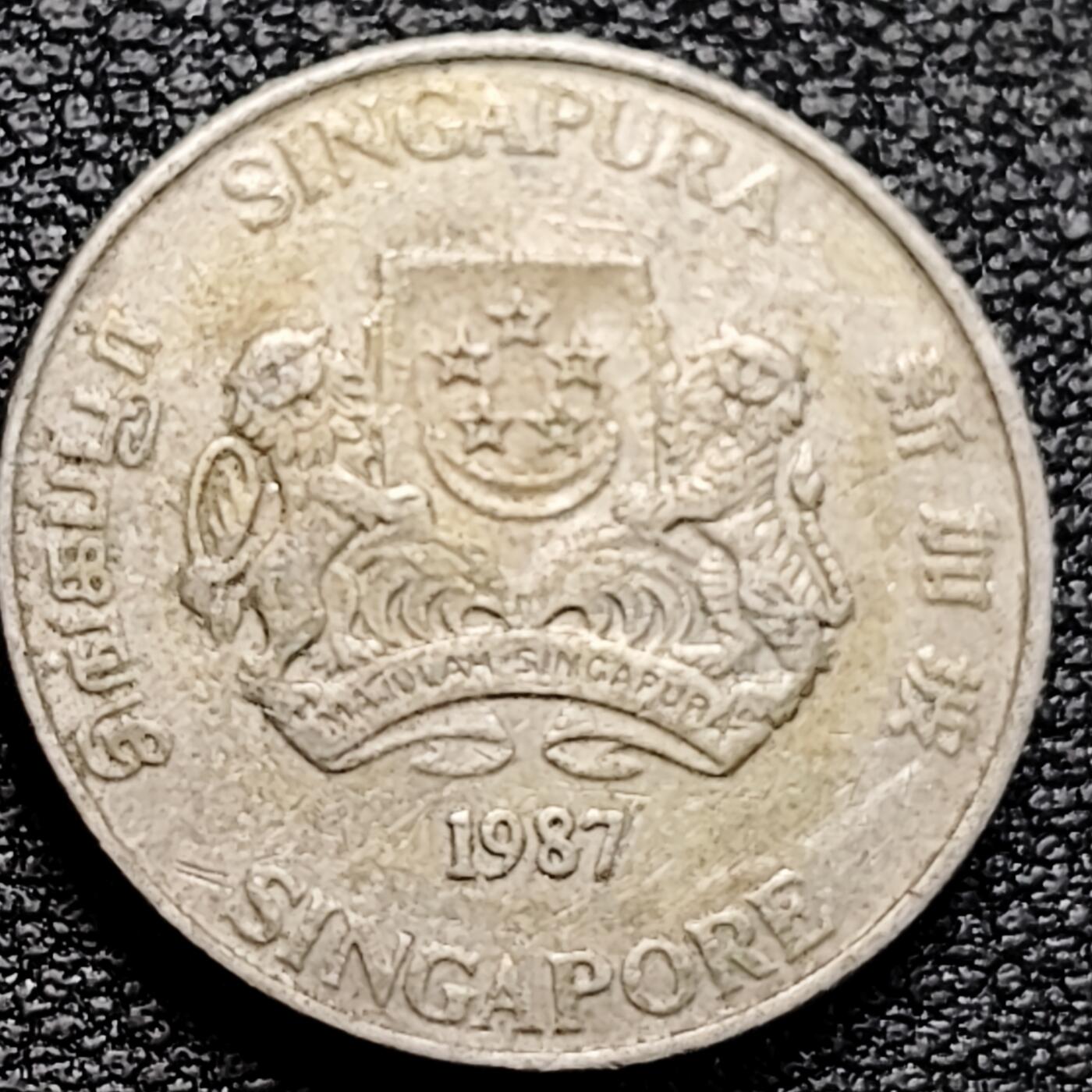 泉币菌-第161场-新年第四场 精品福利场 。