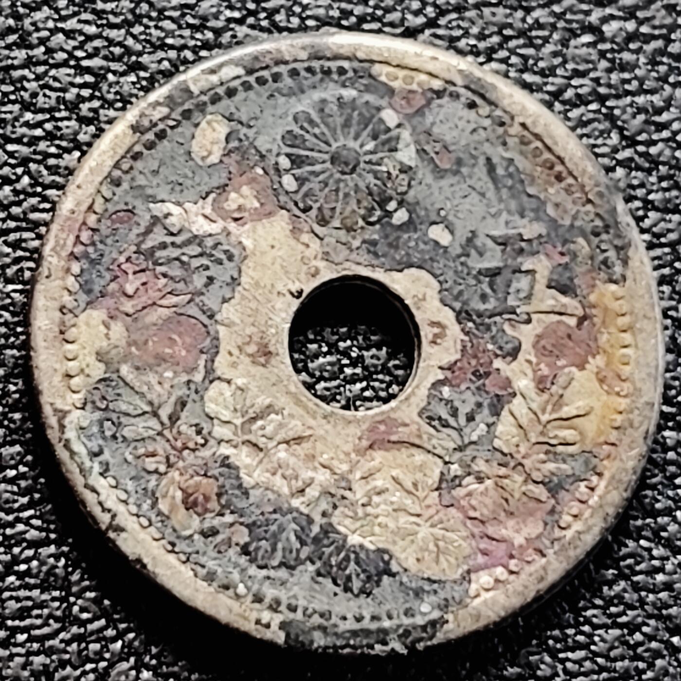 泉币菌-第161场-新年第四场 精品福利场 。