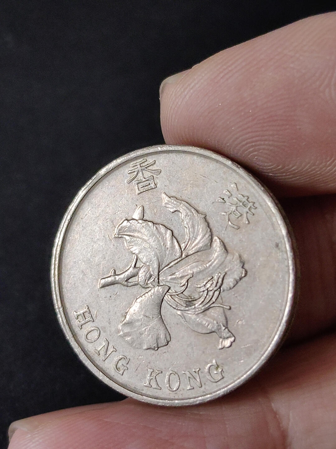 猩哥外币小铺➨【第216场】 伍圆