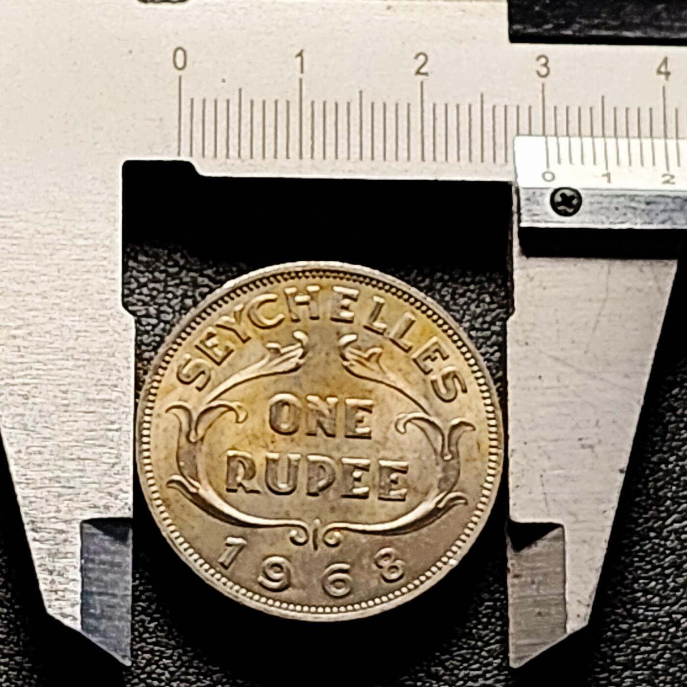 泉币菌-第161场-新年第四场 精品福利场 。