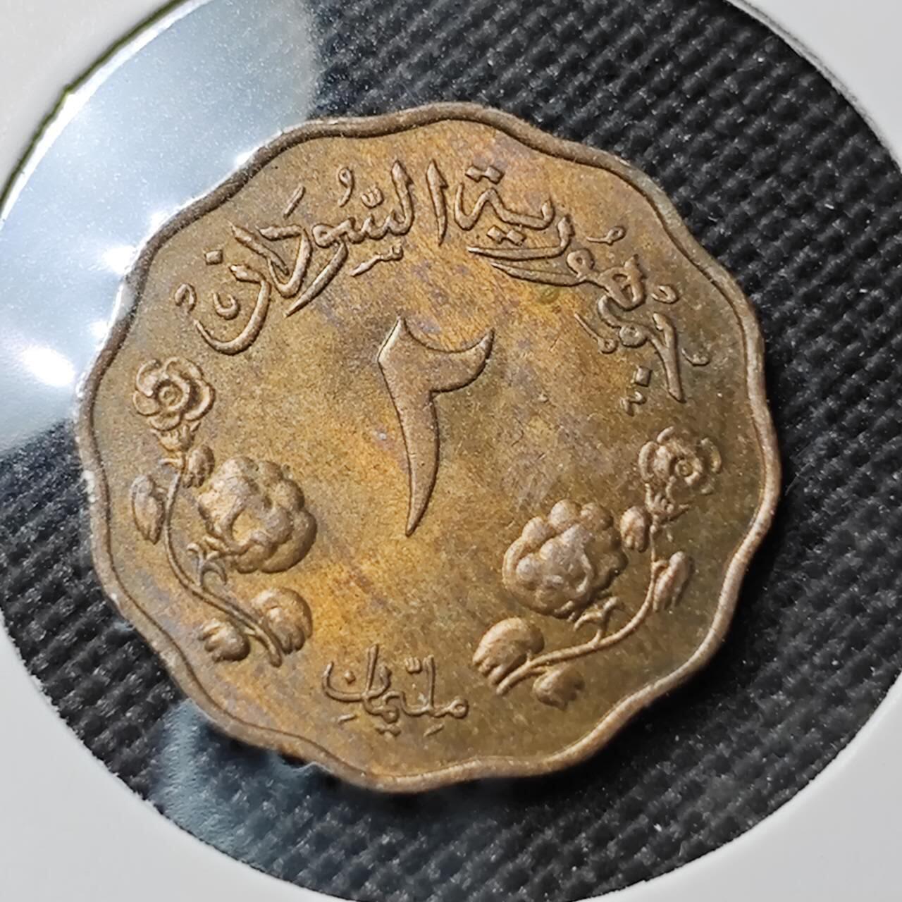 KK钱币收藏小铺  第385期  2月预留时间 周末发货