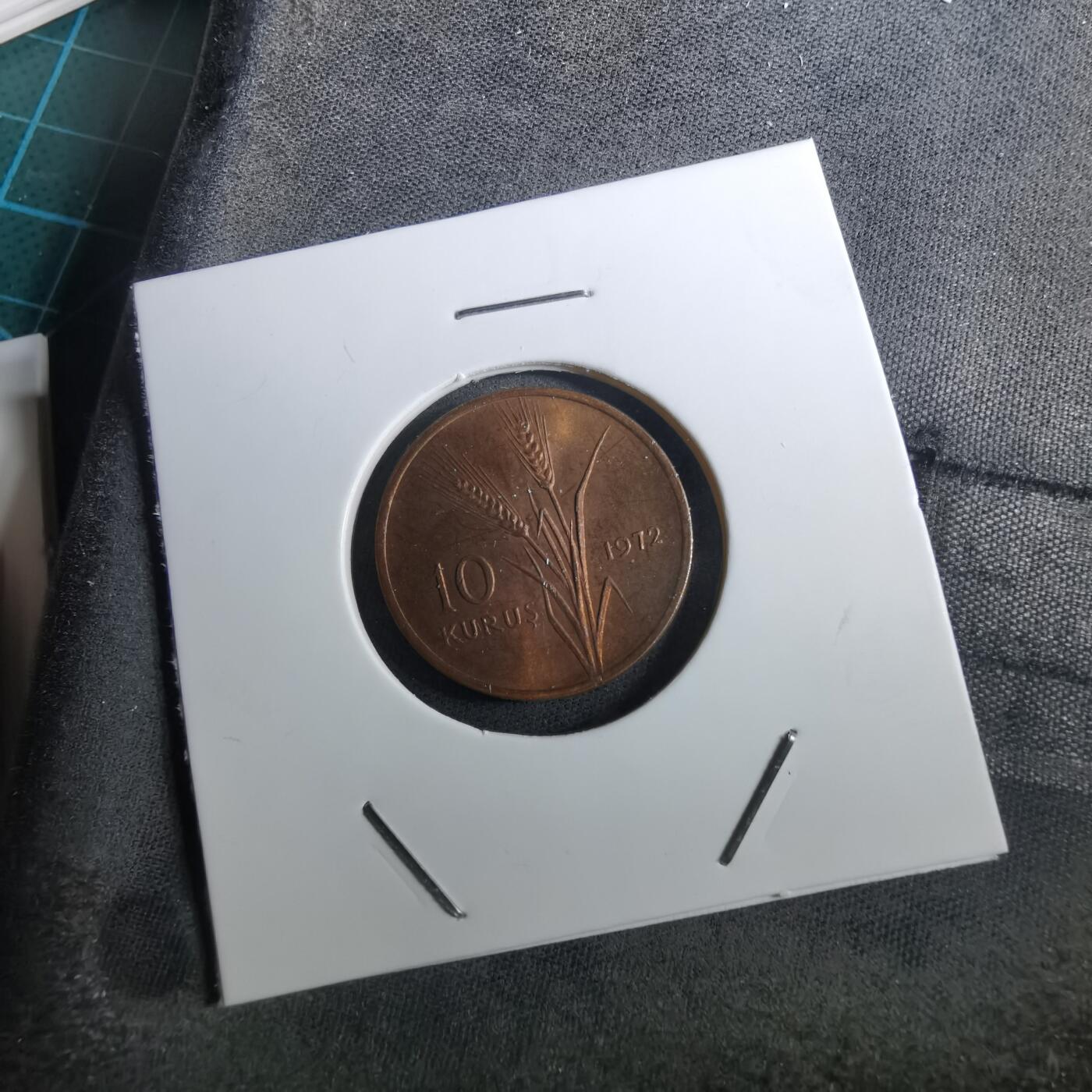 沼泽如烟--第950场