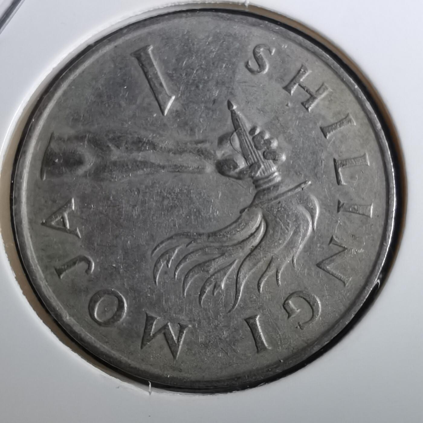 沼泽如烟--第950场