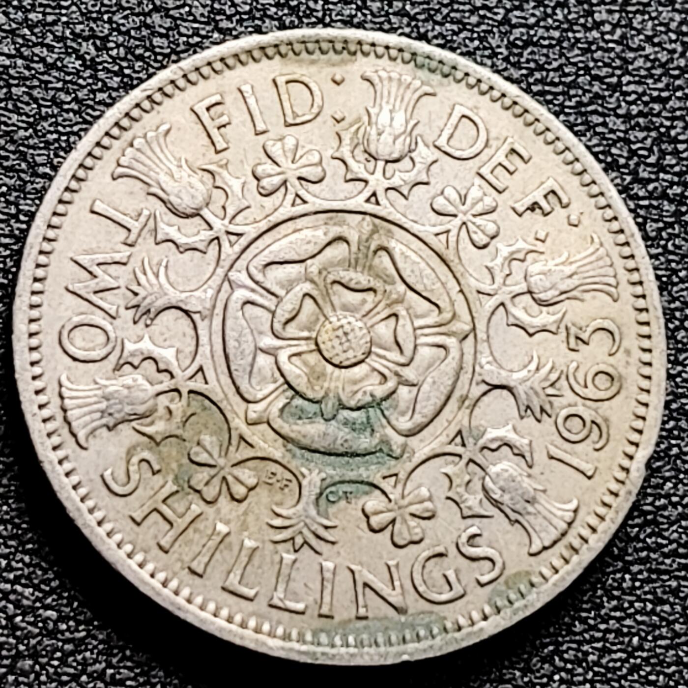 泉币菌-第161场-新年第四场 精品福利场 。