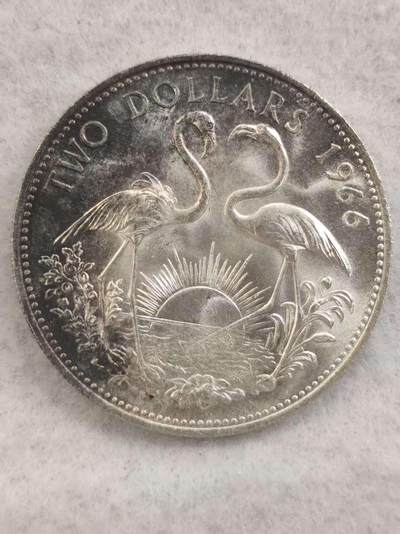 G&W世界散币，银币处理专场（第41场） - 巴哈马1966年2元  银币