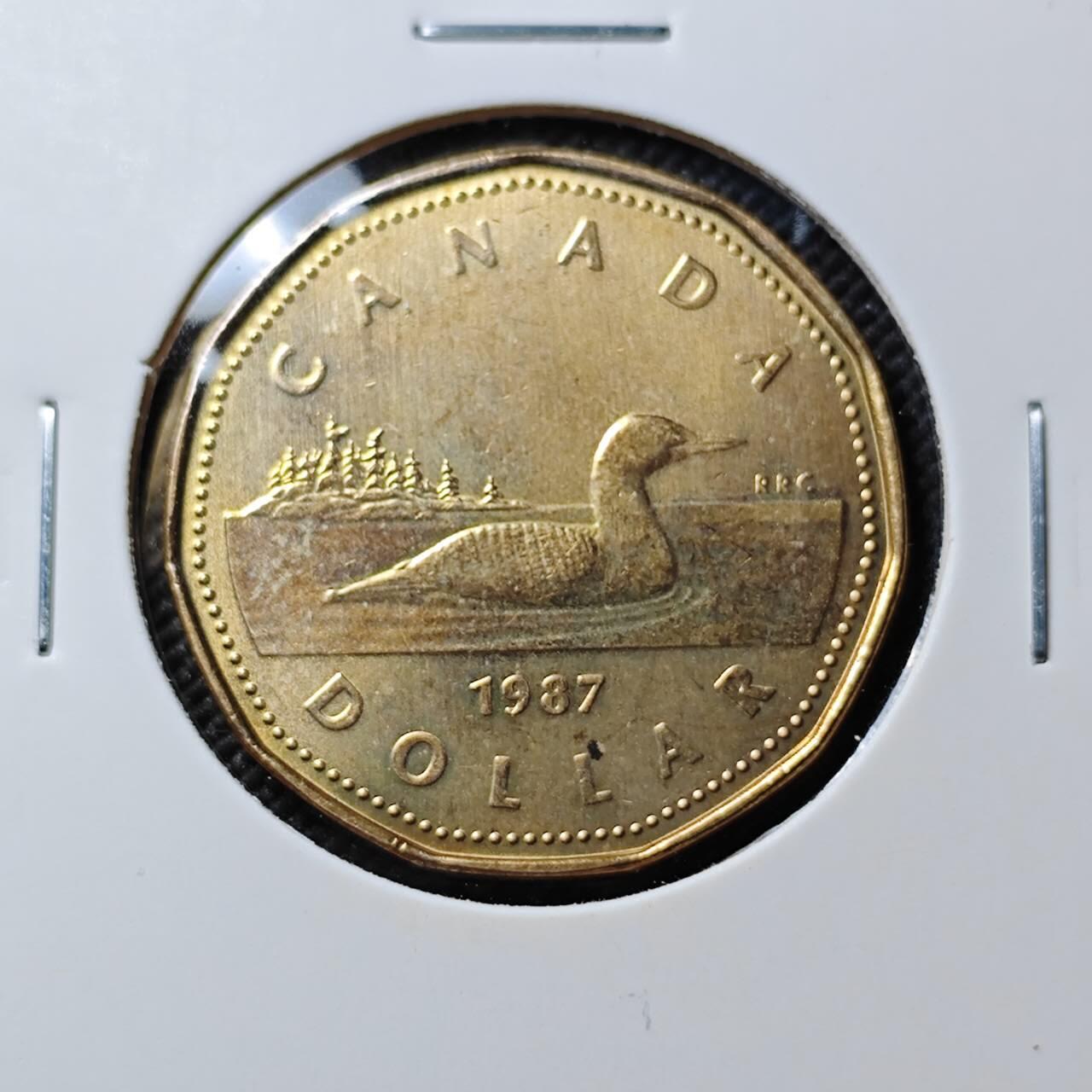 KK钱币收藏小铺  第384期  2月预留时间 周末发货  加拿大1元好品