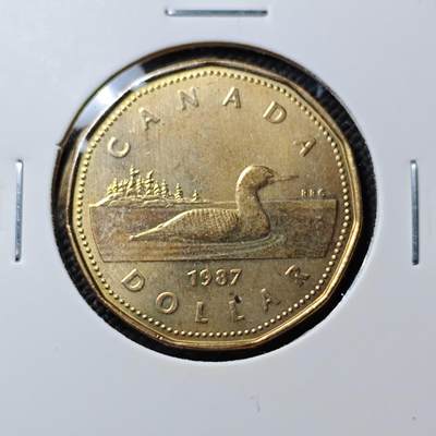 KK钱币收藏小铺  第384期  2月预留时间 周末发货 -  加拿大1元好品