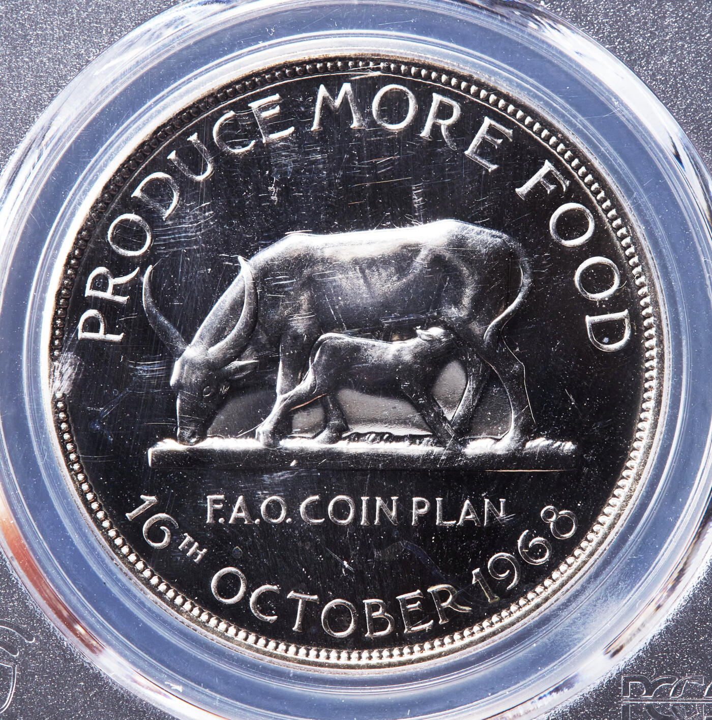 【俄甄集藏】2026年(046)01-07 星期三 晚 19:30 全场包邮