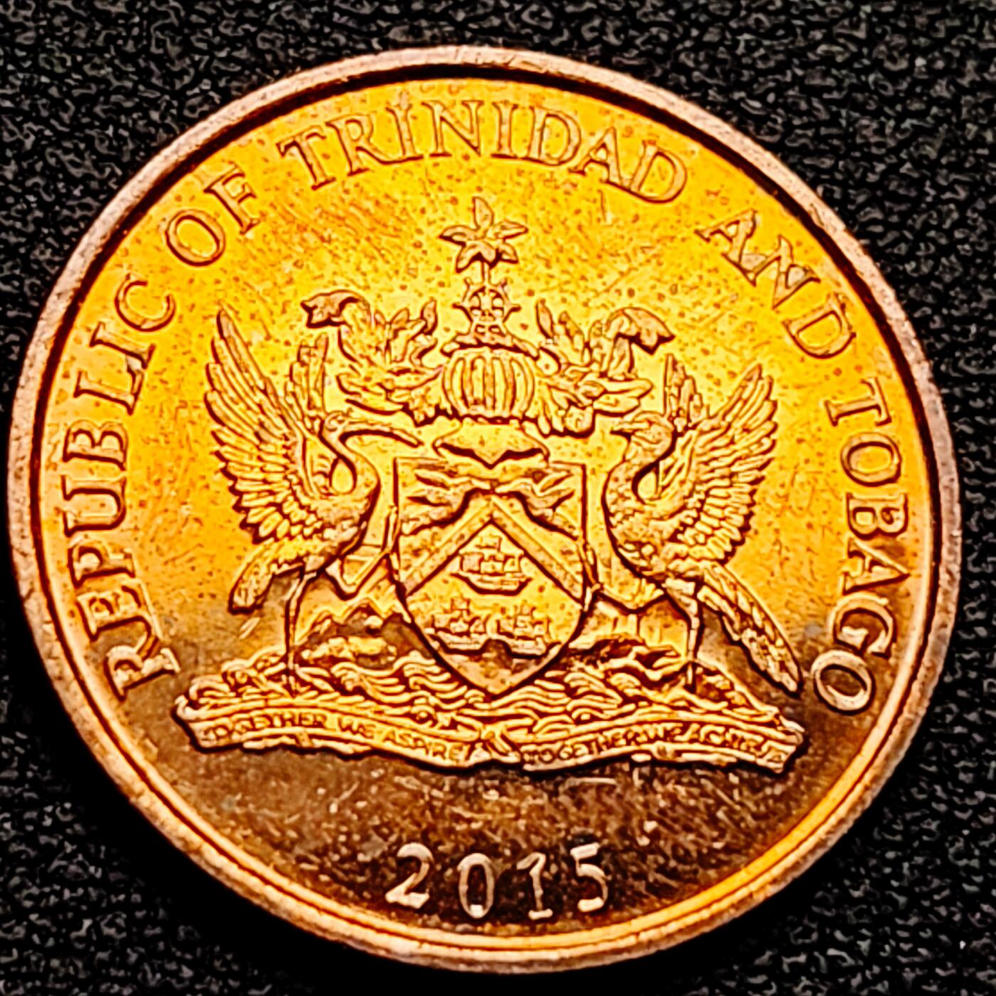 泉币菌-第161场-新年第四场 精品福利场 。