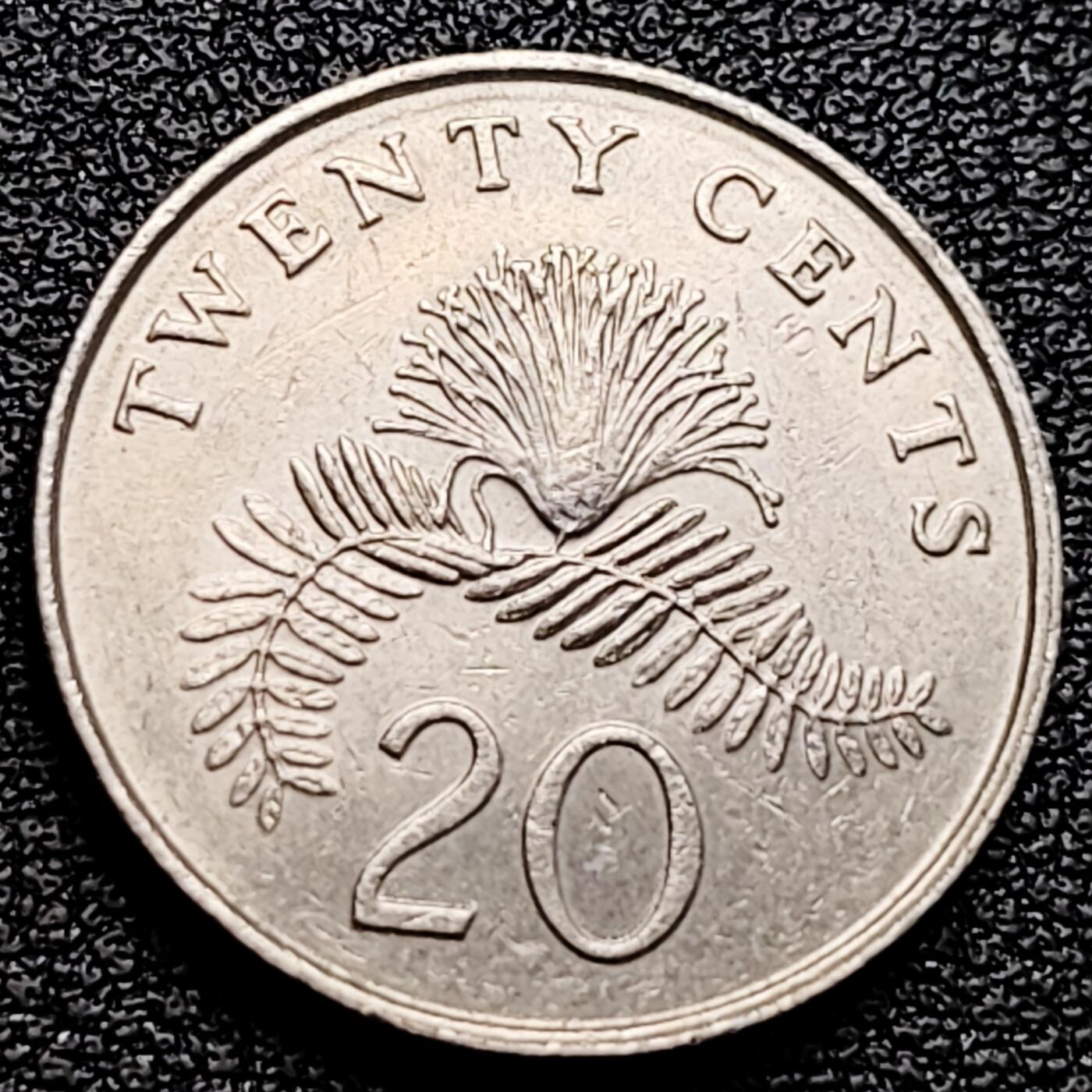 泉币菌-第161场-新年第四场 精品福利场 。