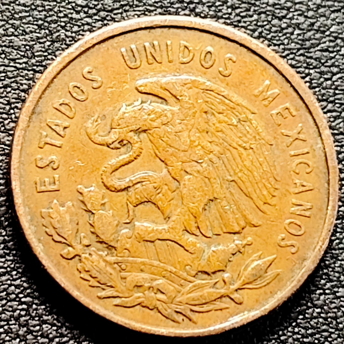 泉币菌-第161场-新年第四场 精品福利场 。