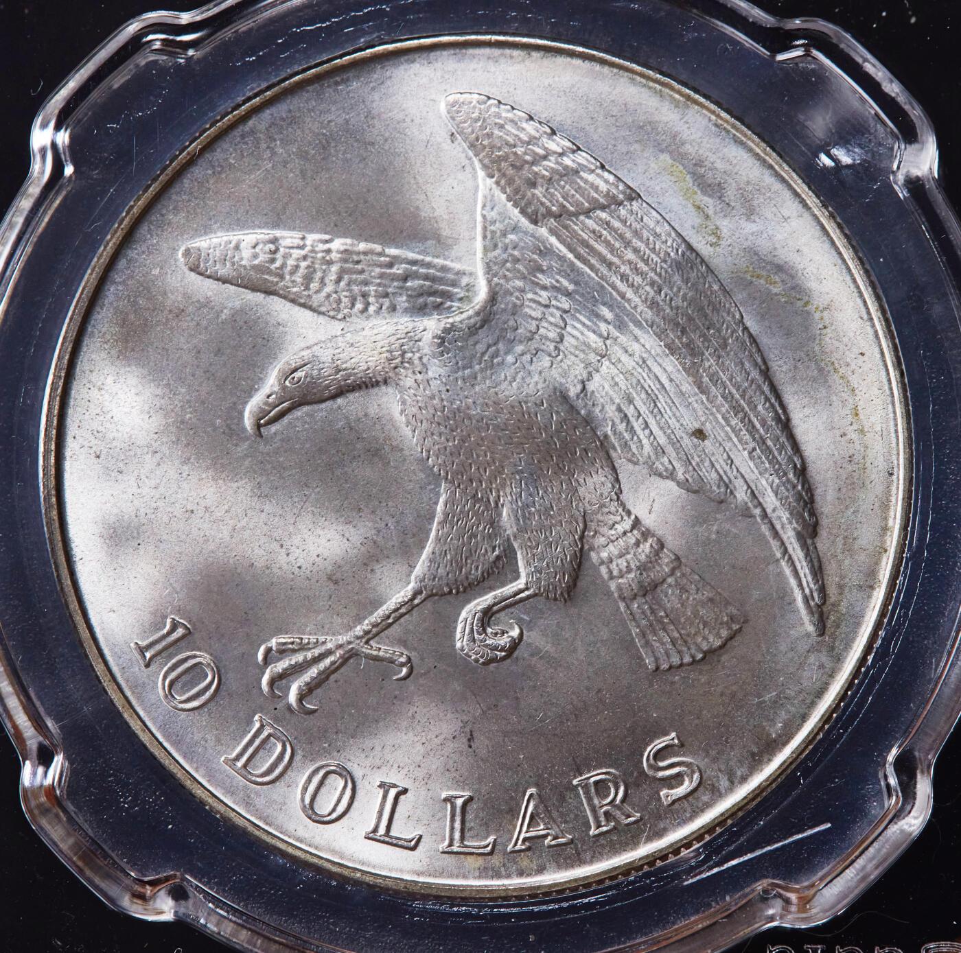 【俄甄集藏】2026年(046)01-07 星期三 晚 19:30 全场包邮 新加坡1974年老鹰1盎司10元大银币，信泰 MS65，转光品相，经典品种，重31.1克，50%银